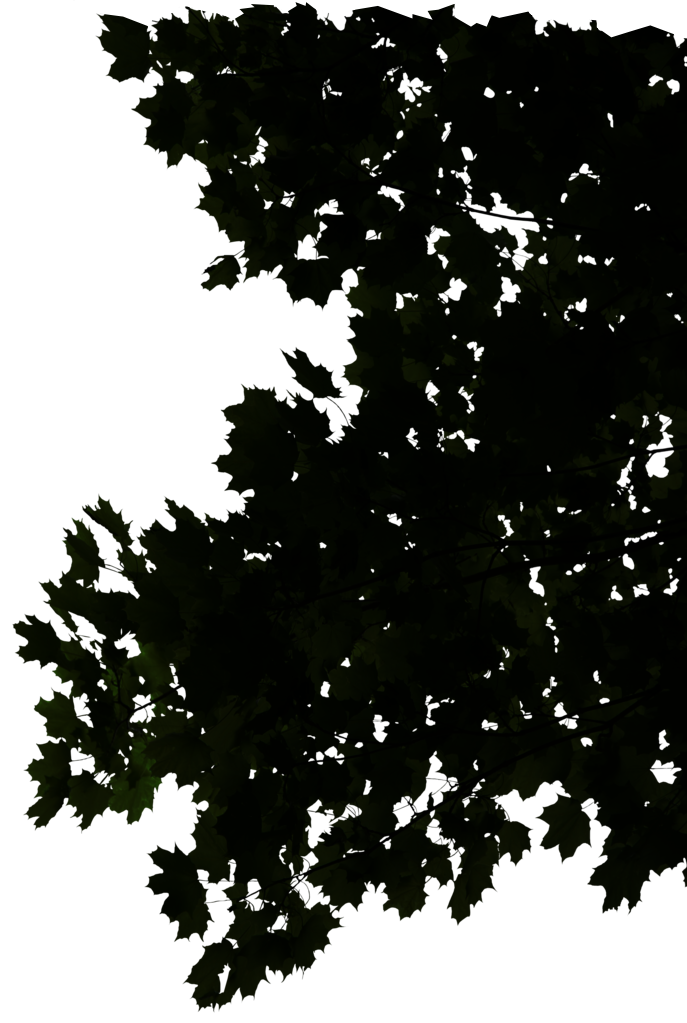 noirgauchecute